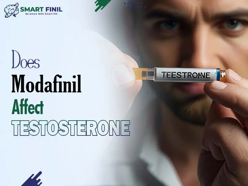 Does modafinil affect testosterone